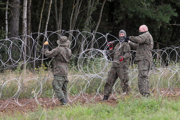 Montaż drutu kolczastego na granicy pomiędzy Polską i Białorusią w pobliżu miejscowości Grzybowszczyzna / 	Artur Reszko    /PAP