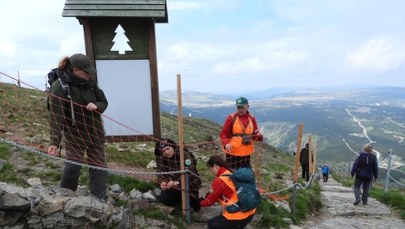 Montują siatki na Śnieżce. Mają chronić cenne murawy