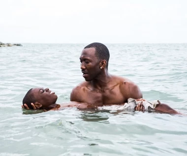 "Moonlight" [trailer]