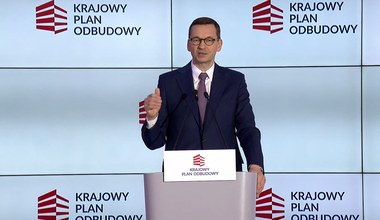 Morawiecki: Pięć filarów planu odbudowy