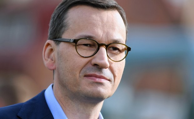 Morawiecki zapowiedział pół miliarda nowych drzew. Leśnicy: Nie ma gdzie ich posadzić