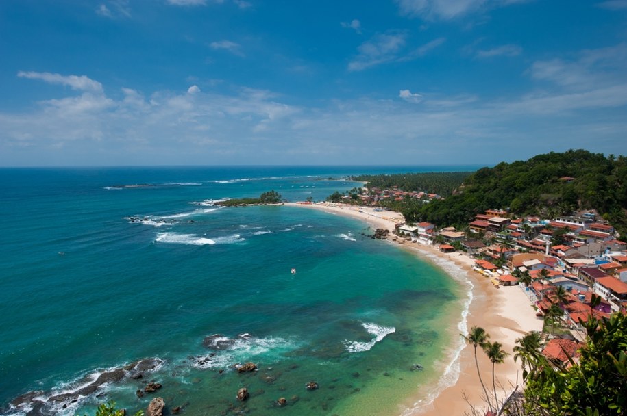 Morro w Sao Paulo, Brazylia /Shutterstock