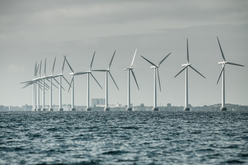 Morska farma wiatrowa u wybrzeży Danii. Zdj. ilustracyjne /123RF/PICSEL