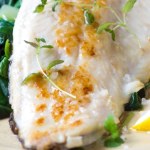 Morska ryba o delikatnym, lekko słodkawym smaku. Ma dużo dobrego białka i kwasów omega-3