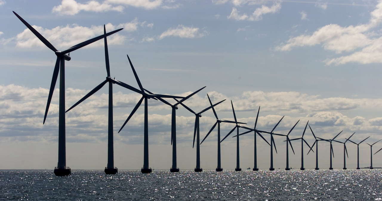 Morskie farmy wiatrowe uzyskają rządowe wsparcie /East News