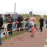 Morsy z Lublina skaczą do zimnej wody 