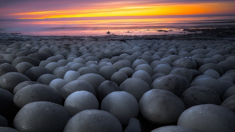 Morszkulce na plaży w Estonii /Kristjan Kõluvere Photography /Facebook
