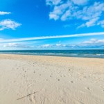 Morze Bałtyckie skrywa prawdziwe skarby. Dzikie plaże w Polsce bez tłumów