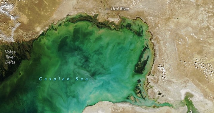 Morze Kaspijskie przy delcie Wołgi. Zdjęcie satelitarne zrobione 20 września 2006 r. /NASA Earth Observatory /NASA