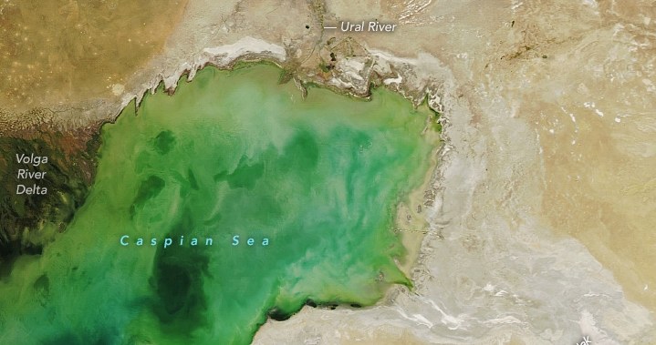 Morze Kaspijskie przy delcie Wołgi. Zdjęcie satelitarne zrobione 19 września 2022 r. /NASA Earth Observatory /NASA