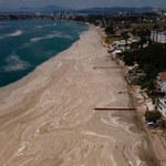 ​Morze Marmara umiera. Obszar pokryty śluzem największy w historii