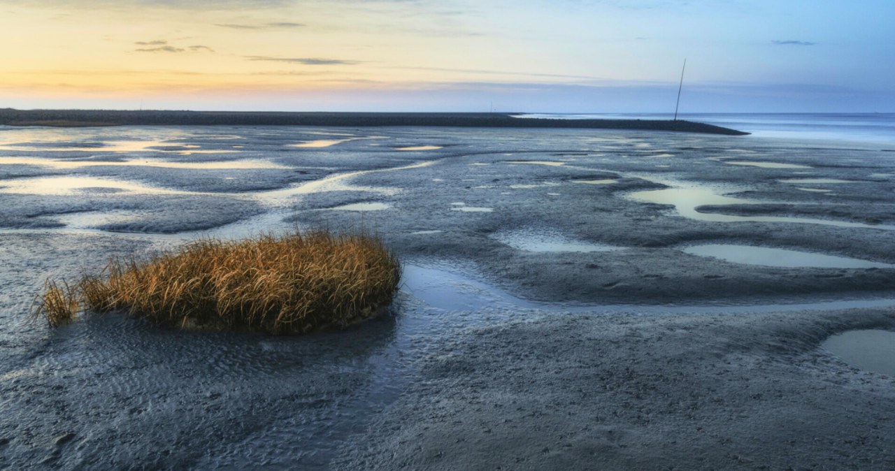 Morze Wattowe zaskakuje i odsłania wyjątkowy krajobraz /Lars Bergmann, /Travel Collection/East News /East News
