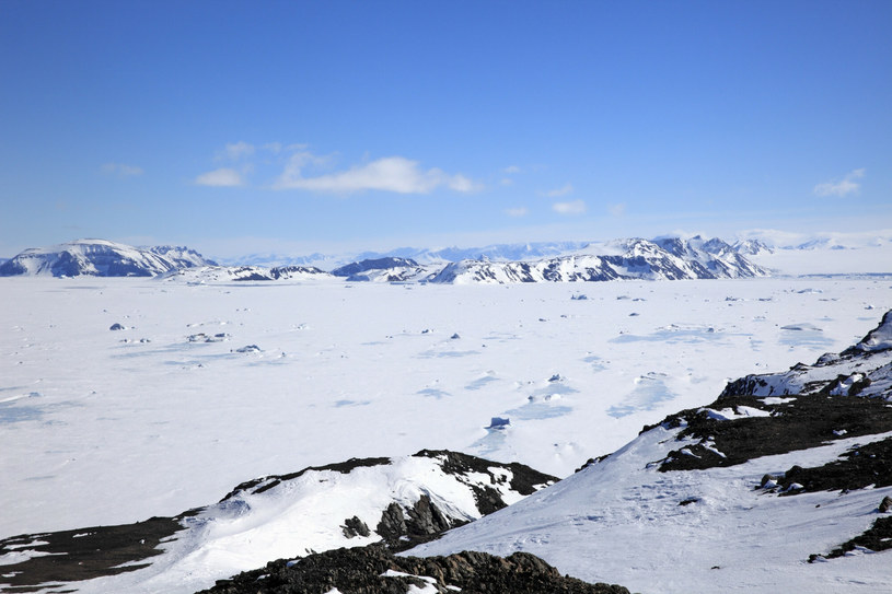 Morze Weddellampołożone u wybrzeży Antarktydy /FLPA/Jurgen & Christine Sohns /East News