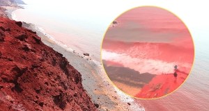 Morze zmieniło się w "krew". Niezwykłe zjawisko na słynnej plaży