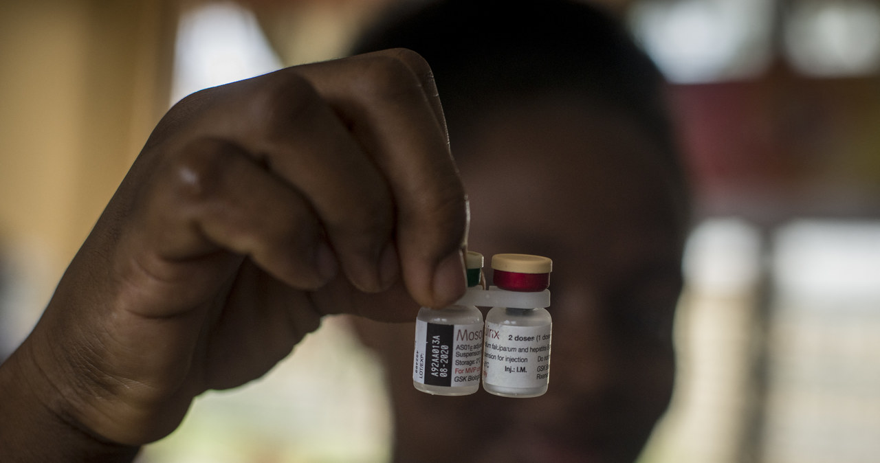Mosquirix to pierwsza szczepionka przeciwko malarii /AFP