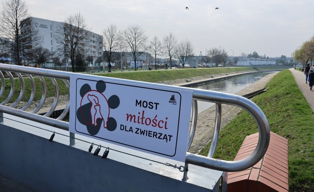 Most miłości dla zwierząt otwarty w Będzinie w Śląskiem