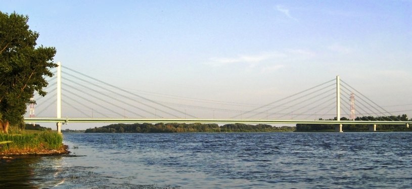 Most Solidarności w Płocku /Wikimedia
