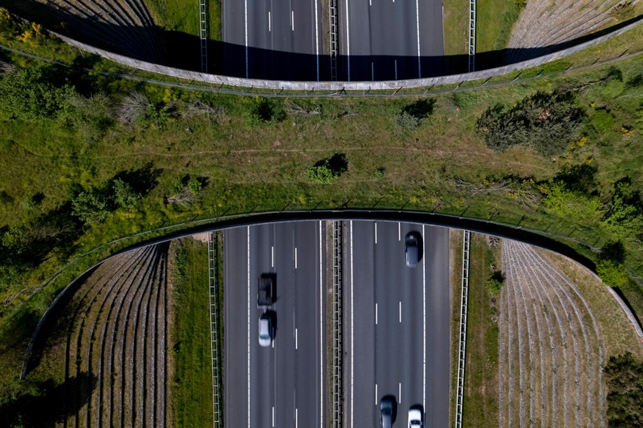 Największy most dla zwierząt na świecie otwarty. Kosztował 15 milionów dolarów