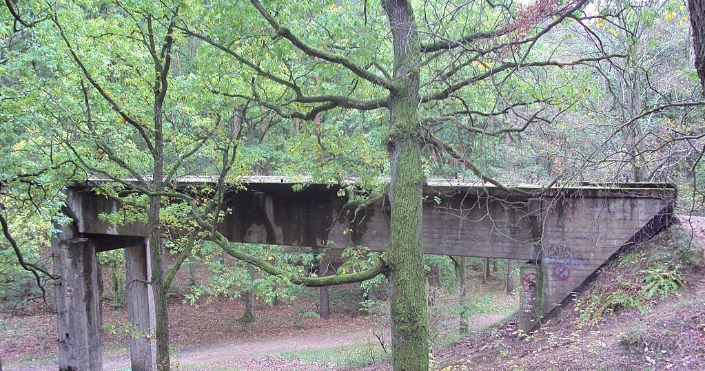 Mosty w Puszczy Bukowej różnią się do siebie sposobem wykonania. /Hoa binh, CC BY-SA 4.0 /Wikimedia