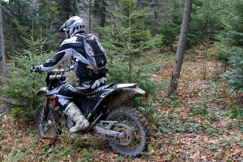 Motocykliści i quadowcy mają kategoryczny zakaz wjazdu do lasu, a jednak łamią ten przepis /East News