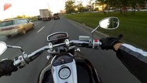 Motocyklista pomógł pisklęciu. Sprawdź