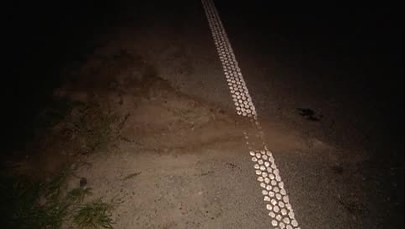 Motocyklista wjechał w rowerzystę. Obaj zginęli na miejscu