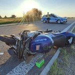 Motocyklista zderzył się z łosiem. 38-latek nie żyje