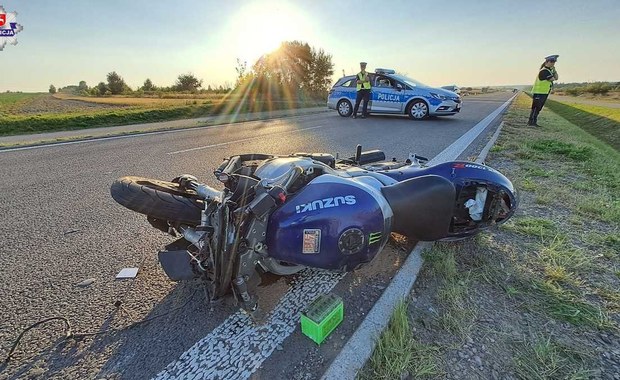 Motocyklista zderzył się z łosiem. 38-latek nie żyje