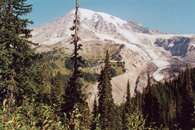 Mount Rainier /Encyklopedia Internautica