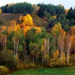 Mówią o nim "polski biegun zimna". To świetne miejsce na jesienną wycieczkę