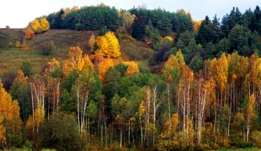 Mówią o nim "polski biegun zimna". To świetne miejsce na jesienną wycieczkę