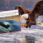 "Może mi pani nie uwierzyć". Nietypowe zgłoszenie na numer alarmowy