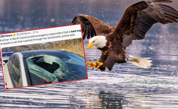 "Może mi pani nie uwierzyć". Nietypowe zgłoszenie na numer alarmowy