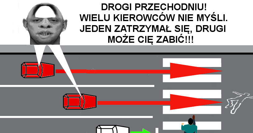 Może ustawić takie billboardy przed przejściami dla pieszych? /INTERIA.PL