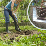 ​Możesz uprawiać warzywa przez cały rok. Wystarczy ta jedna rzecz
