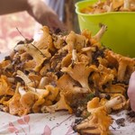 Możesz zamrozić kurki. Ale pamiętaj o tym, inaczej się rozpadną