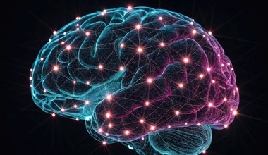 Mózg celem ataku. Ostrzegają przed bronią kontrolującą umysł