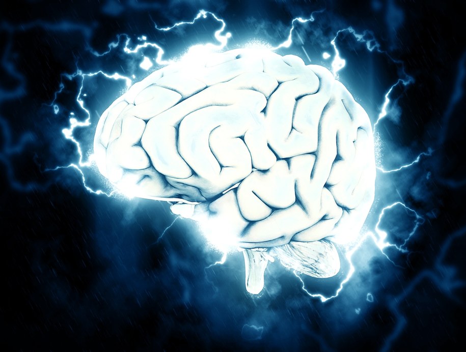 "Mózg jest maszynką do przewidywania przyszłości" /pixabay.com /