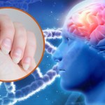 Mózg zaskakuje pojemnością, a skóra i krew żywotnością. Czego nie wiedziałeś o swoim ciele?