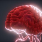 psychiatria Mózgi psychopatów są inne? Naukowcy odkrywają zaskakującą różnicę