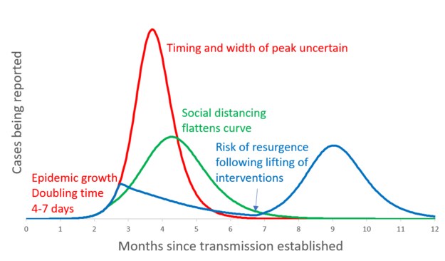 Możliwe scenariusze rozwoju epidemii /The Lancet,  Anderson et al., Figure 1, How will country-based mitigation measures influence the course of the COVID-19 epidemic?, Copyright (2020) /Materiały prasowe