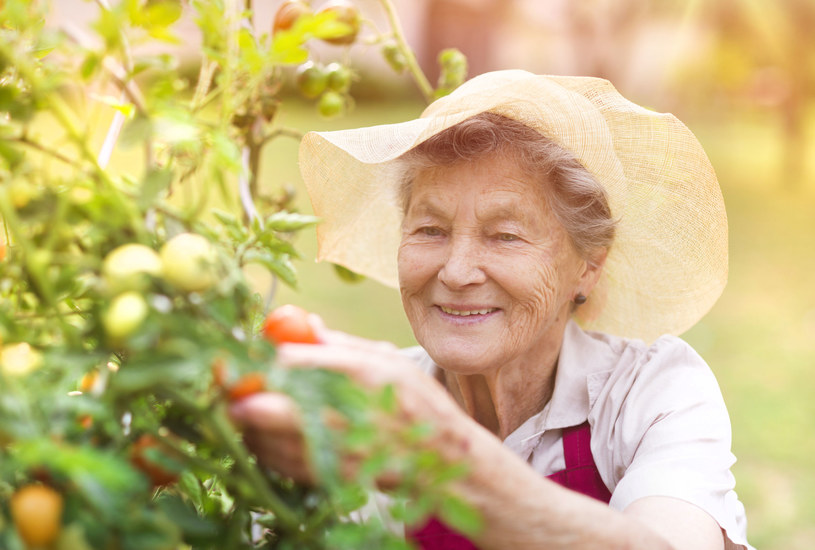 Możliwość uprawiania ogrodu przynosi korzyści osobom w każdym wieku /123RF/PICSEL