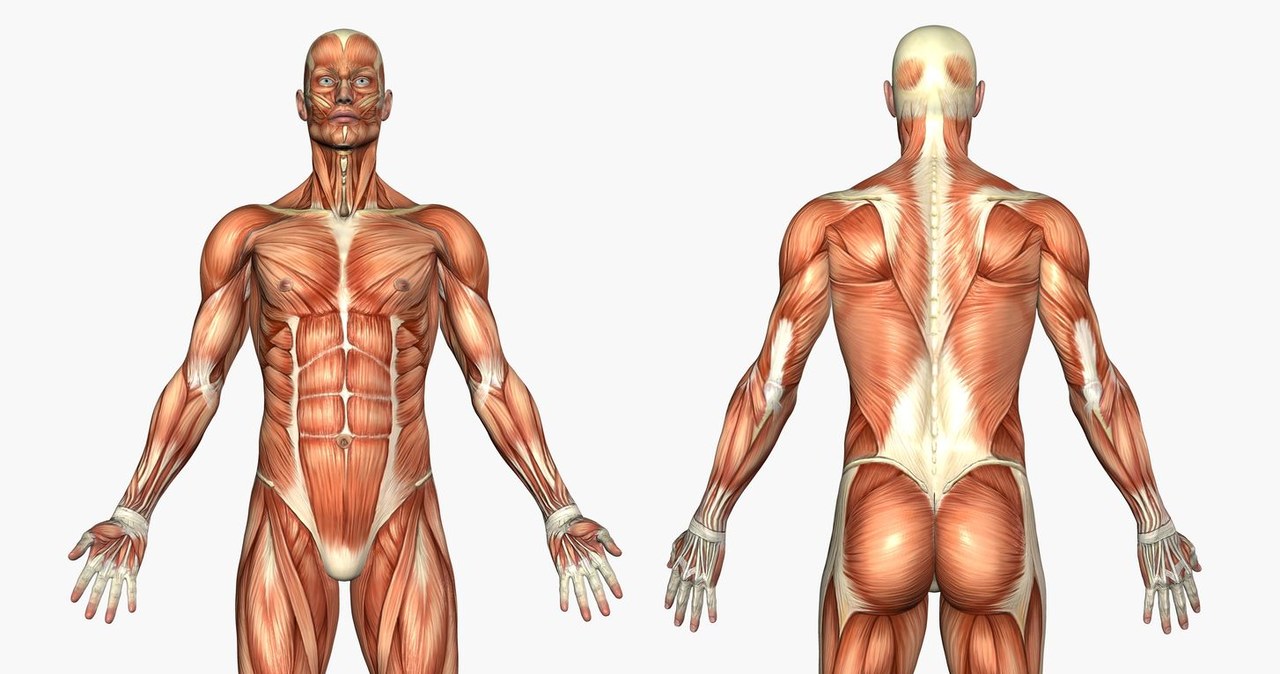 Możliwości ludzkiego ciała są właściwie nieograniczone /123RF/PICSEL