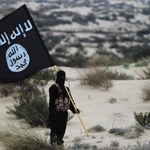 "Można to nazwać ISIS 2.0". Interpol ostrzega przed nową falą terroru