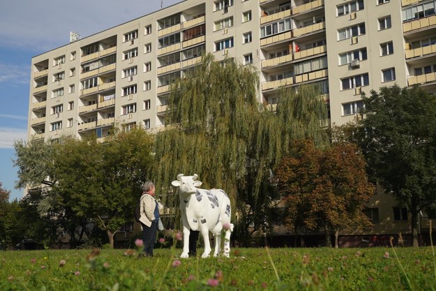 Można wypożyczyć m.in. taką platformę krowy /Urząd Miasta Warszawy /Materiały prasowe