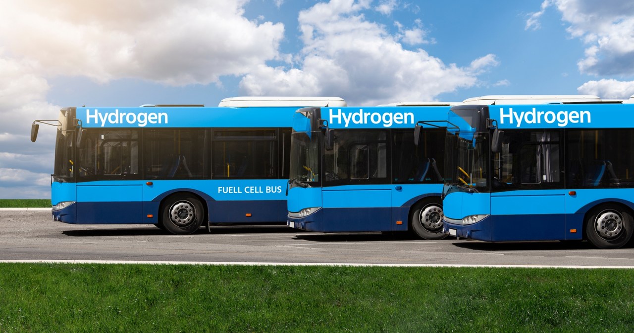 MPK w Krakowie planuje zakup 40 autobusów zasilanych wodorem. Zdjęcie ilustracyjne /123RF/PICSEL