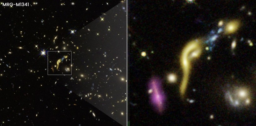 MRG-M1341 - jedna z nowo zaobserwowanych "martwych" galaktyk /NASA