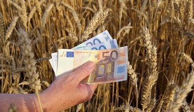 MRiRW: Dodatkowe 60 mln euro dla młodych rolników 
