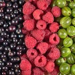 MRiRW ustali cenę referencyjną dla owoców!