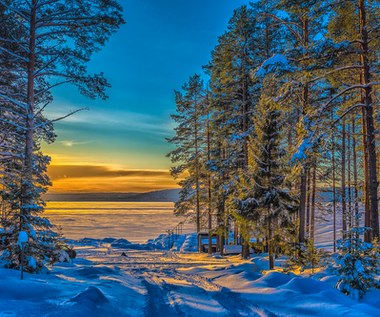 Mróz i 15 cm śniegu? Zima uderzy w Polskę! Synoptycy ostrzegają